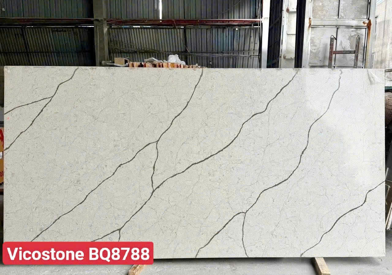 Vicostone BQ8788