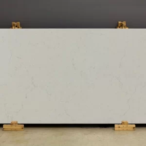 Vicostone BQ8818